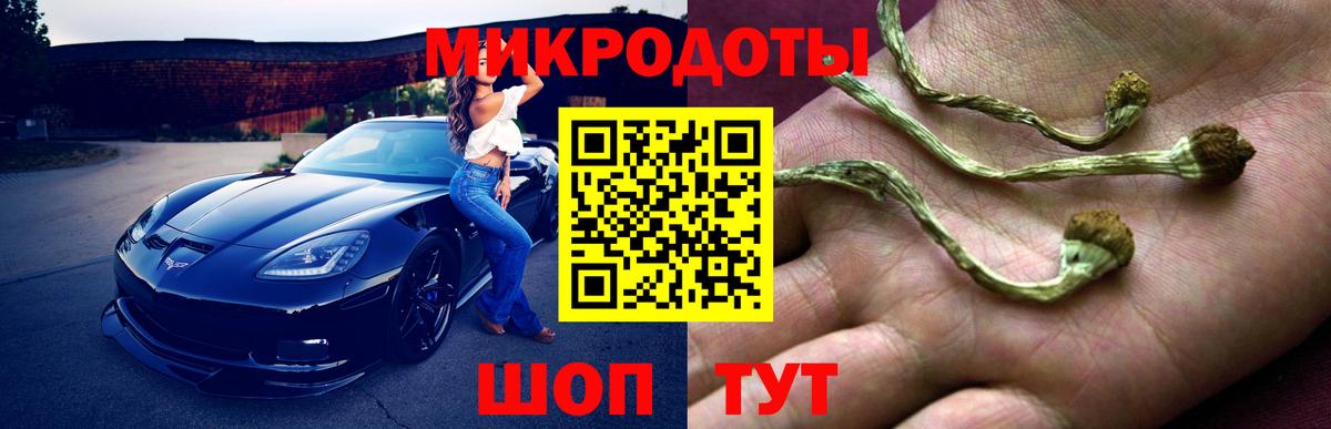 Галлюциногенные грибы Psilocybine cubensis  Галлюциногенные грибы GOLDEN TEACHER  Вход с VPN  купить закладку  Шумерля 